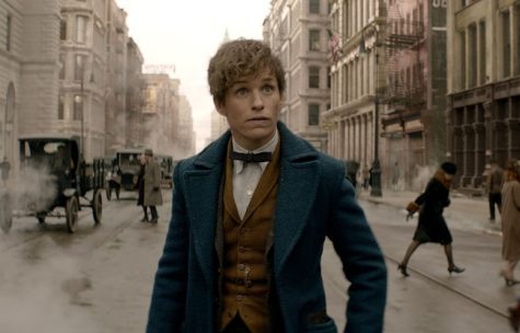 Newt Scamander's arrival in New York