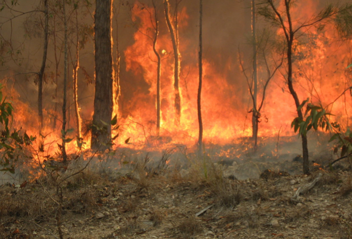 This is a picture of a bush fire in Captain Creek.
