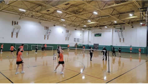 The Importance of Joining a Sport