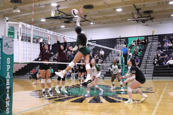 Hussein Breaks School Record in Volleyball